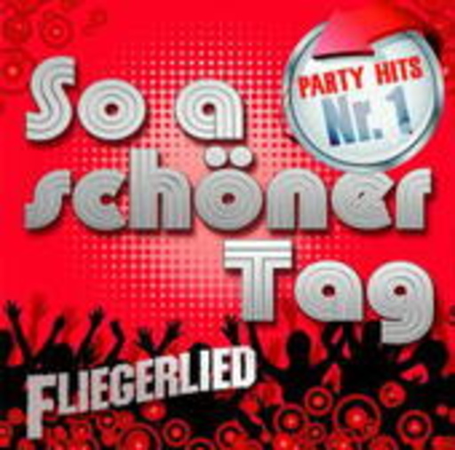 Diverse – So a schöner Tag - Party-Hits