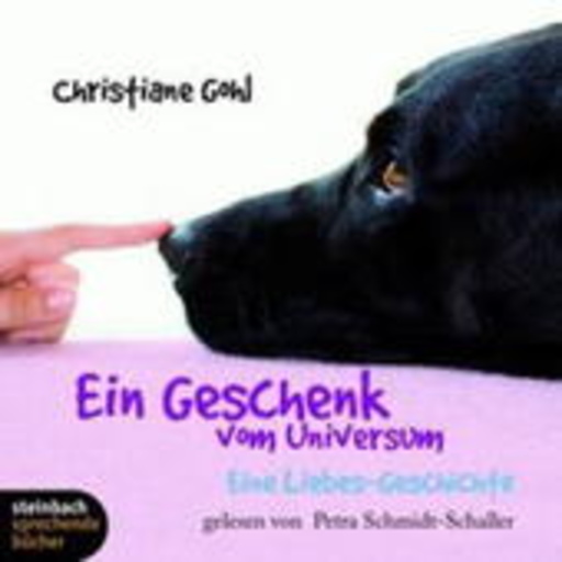 Petra Schmidt-Schaller – Ein Geschenk vom Universum - Eine Liebes-Geschichte