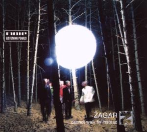 Zagar – Cannot Walk Fly Instead