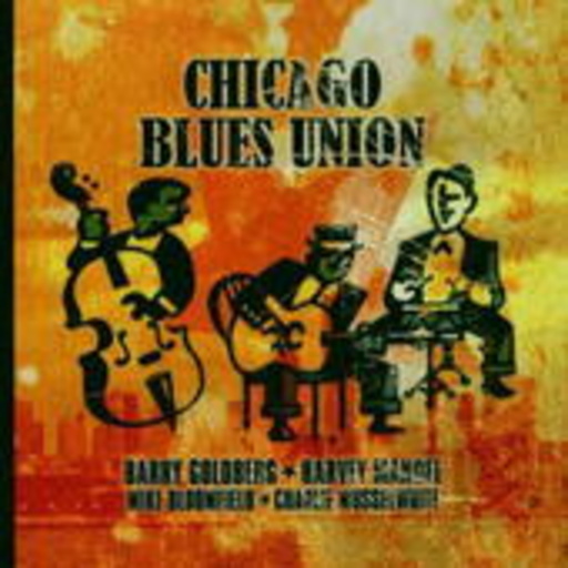 Diverse – Chicago Blues Union