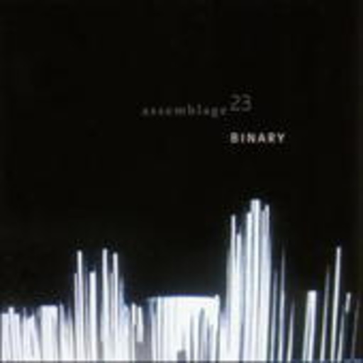 Assemblage 23 – Binary