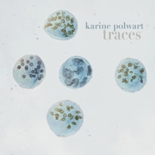 Karine Polwart – Traces