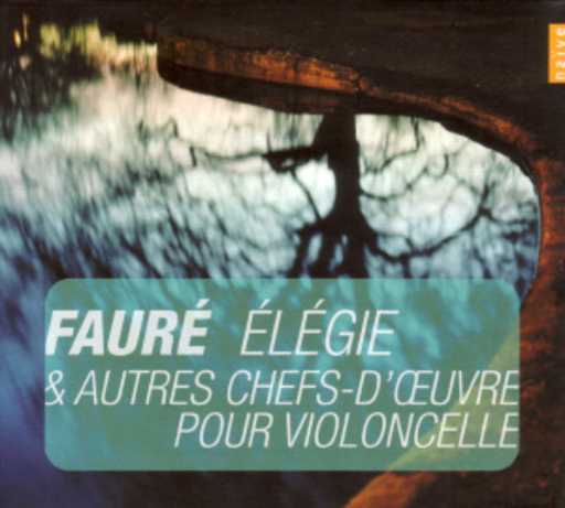 Pour Violincelle