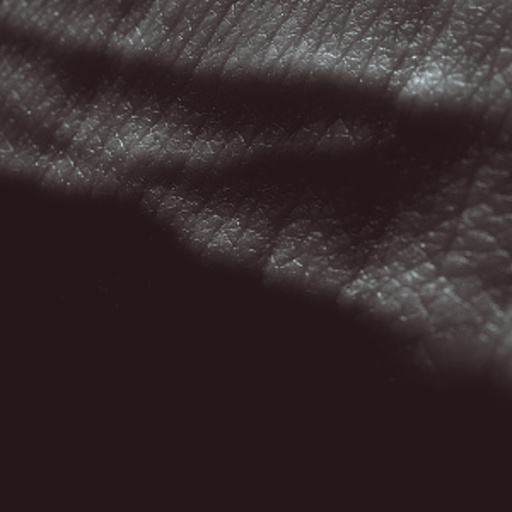 JK Flesh – Posthuman