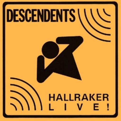 Hallraker