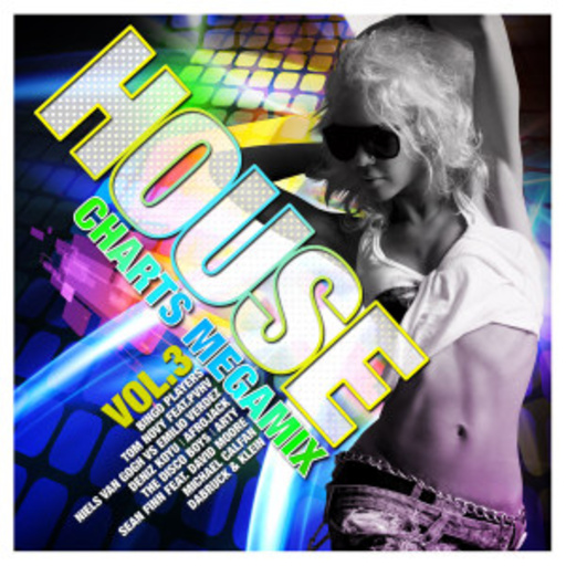 Diverse – House Charts Megamix Vol. 3