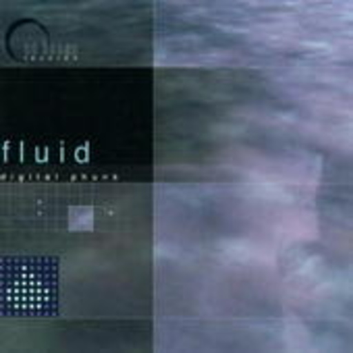 Fluid – Digital Funk