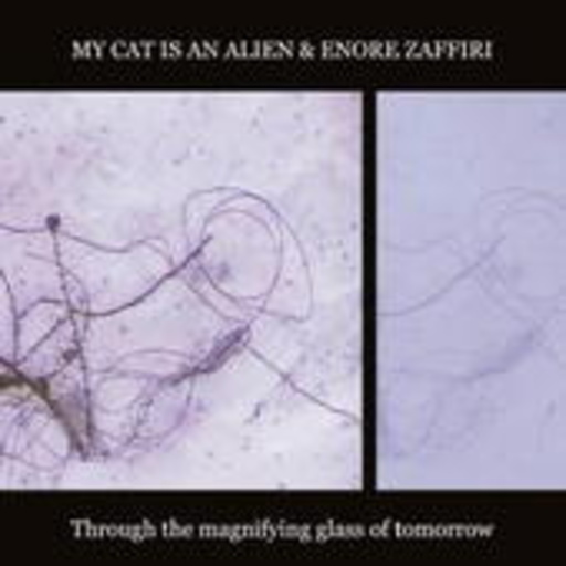 My Cat Is An Alien/Encore Zaffiri – Through The Magnifying Glass Of...
