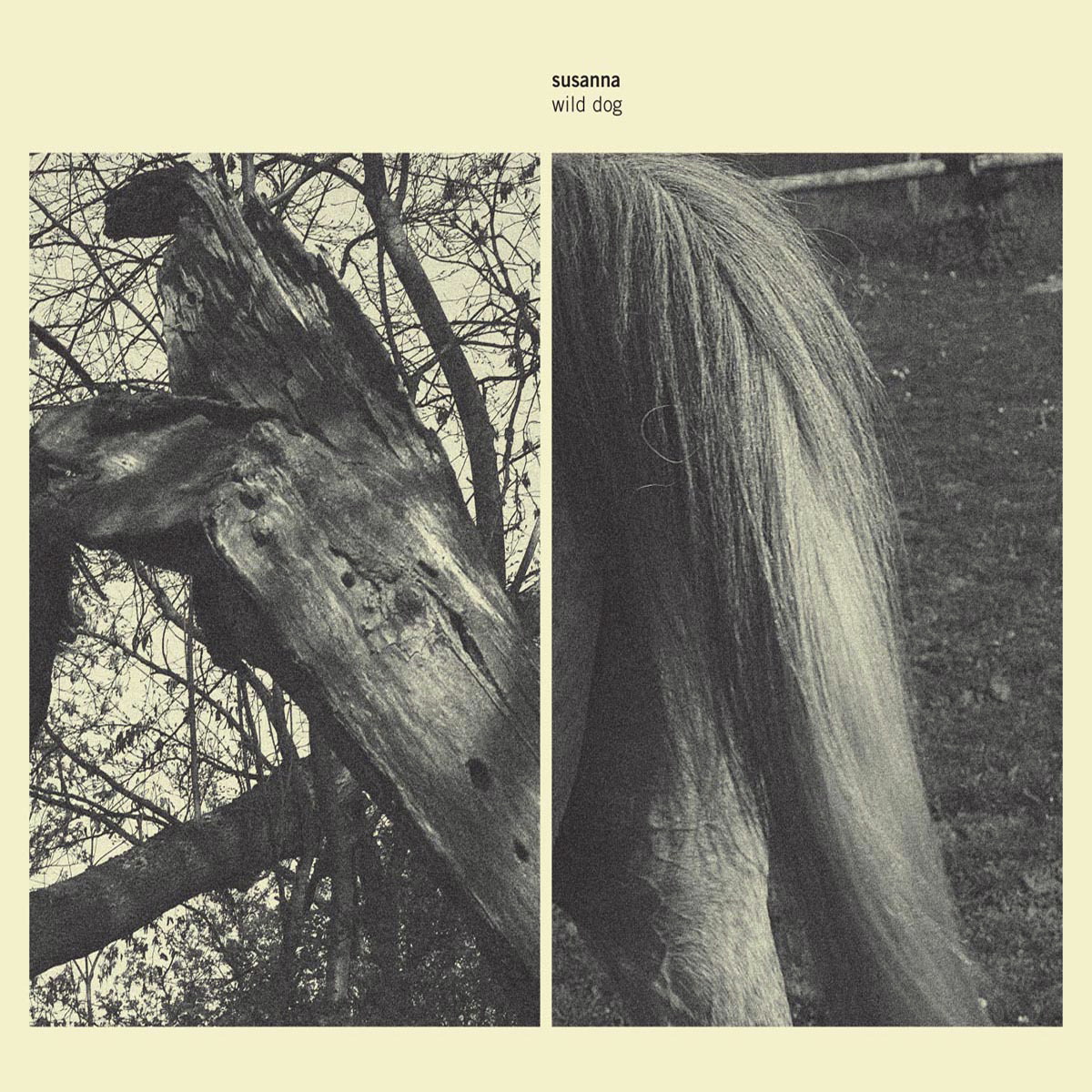 Susanna – Wild Dog