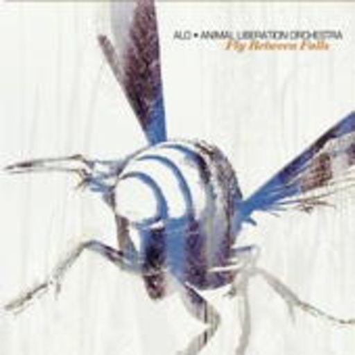 A.L.O. – Fly Between Falls
