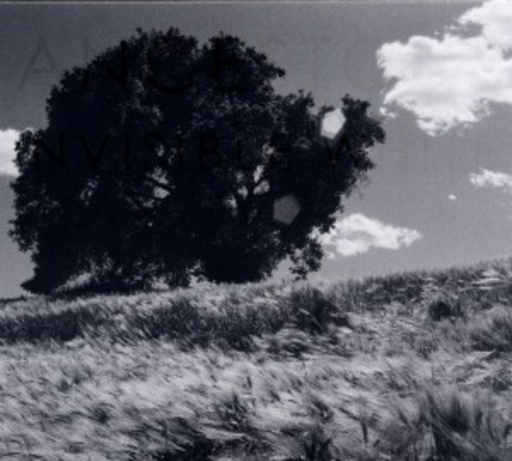 Ancestors – Invisible White