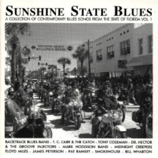 Diverse – Sunshine State Blues