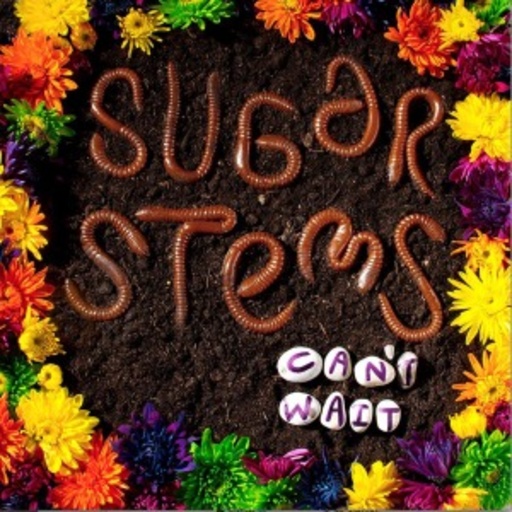 The Sugar Stems – Can't Wait