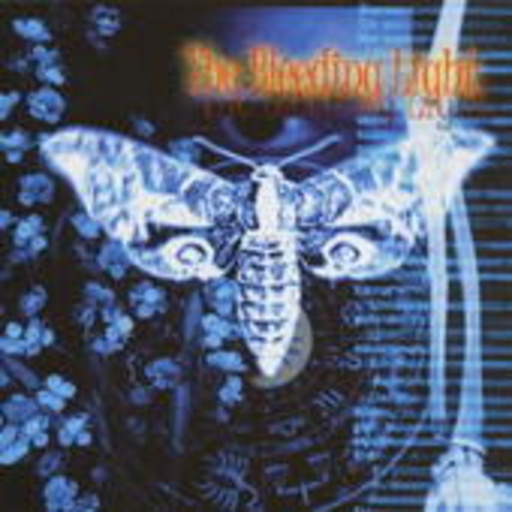 The Bleeding Light