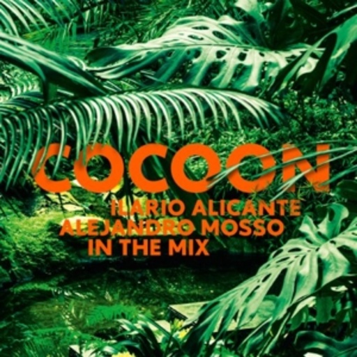 Diverse – Cocoon - Ilario Alicante, Alejandro Mosso In The Mix