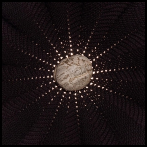 Nat Baldwin – In The Hollows