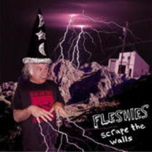 Fleshies – Scrape The Walls