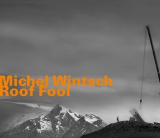 Michel Wintsch – Roof Fool