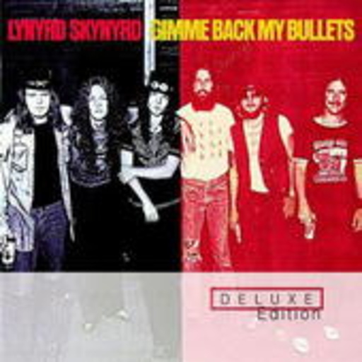 Gimme Back My Bullets