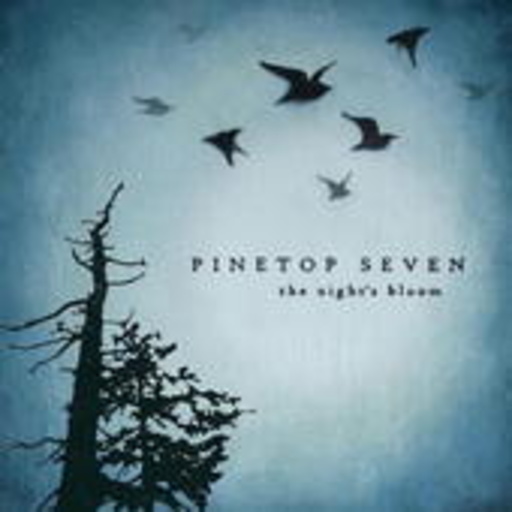 Pinetop Seven – The Nights Bloom
