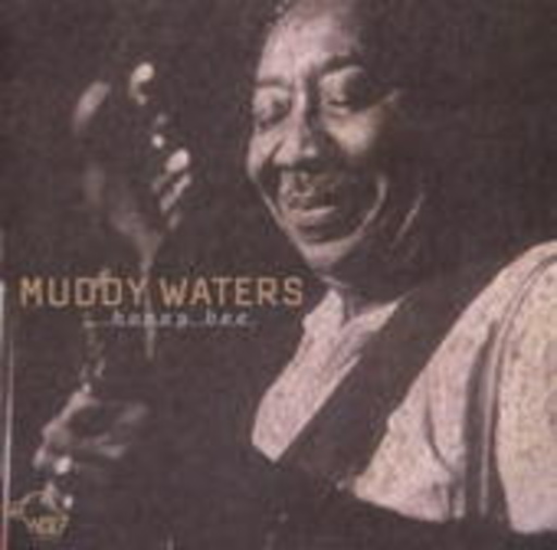 Muddy Waters – Honey Bee