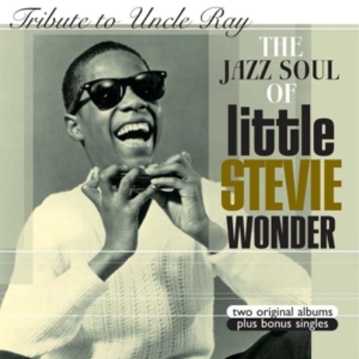 Tribute To Uncle Ray/The Jazz Soul Of Little Stevie