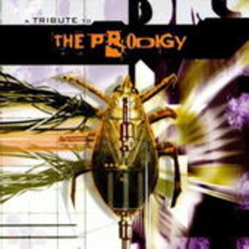 Diverse – Firestarter - A Tribute To The Prodigy