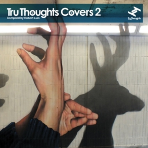 Diverse – Tru Thoughts Covers 2