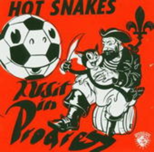 Hot Snakes – Audit In Progress