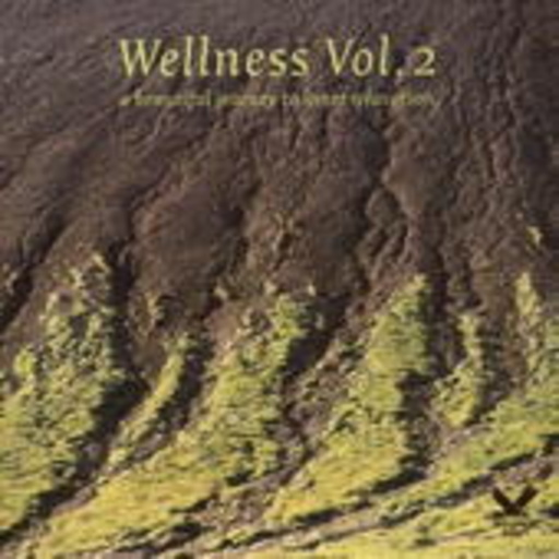 Diverse – Wellness Vol. 2