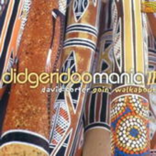 David Corter – Digeridoo Mania II