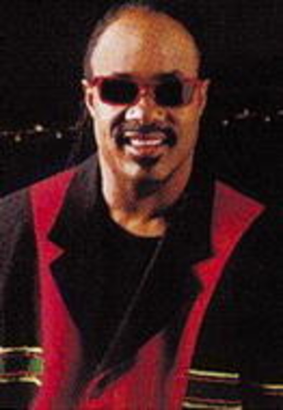Will die Videogrenzen aufbrechen: Stevie Wonder