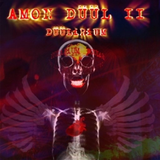 Amon Düül II – Düülirium