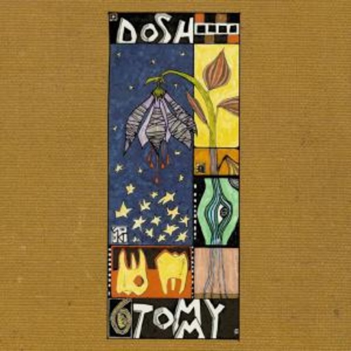 Dosh – Tommy