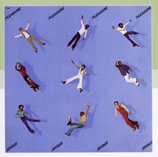 Pleasure – Joyous