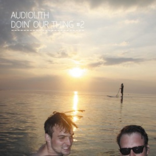 Audiolith – Doin Our Thing Vol. 2