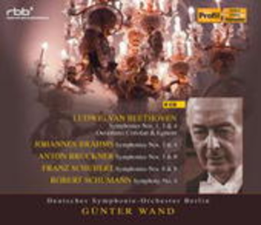 Günter Wand/Deutsches Symphonie-Orchester Berlin – Günter Wand Box