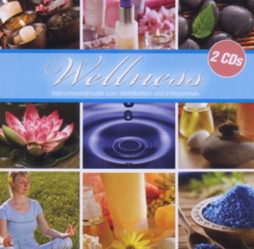 Diverse – Wellness - Instrumentalmusik zum Wohlfühlen und Entspannen