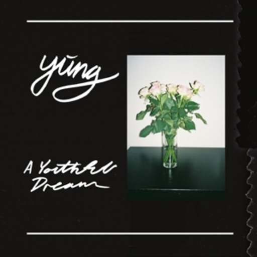 Yung – A Youthful Dream