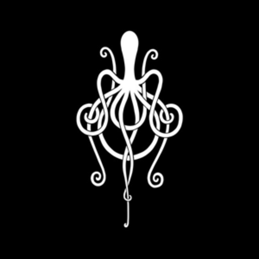 Amplifier – The Octopus