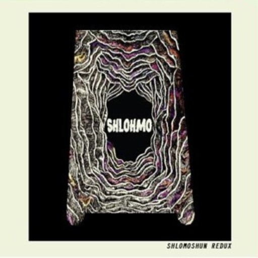 Shlomoshun Redux