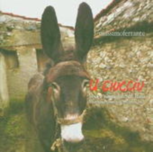 Massimo Ferrante – U' Ciucciu