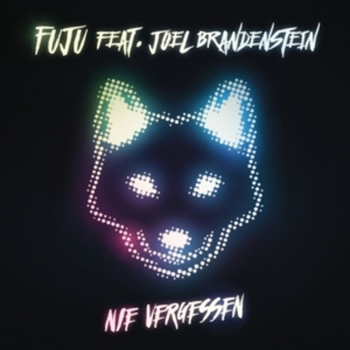 Fuju feat. Joel Brandenstein – Nie vergessen