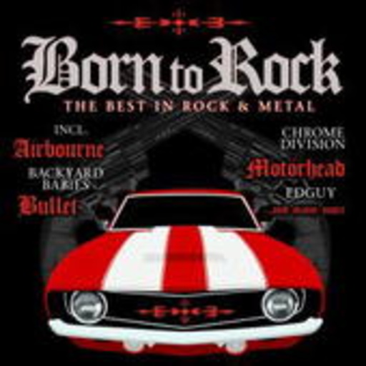 Diverse – Born To Rock - The Best In Rock & Metal