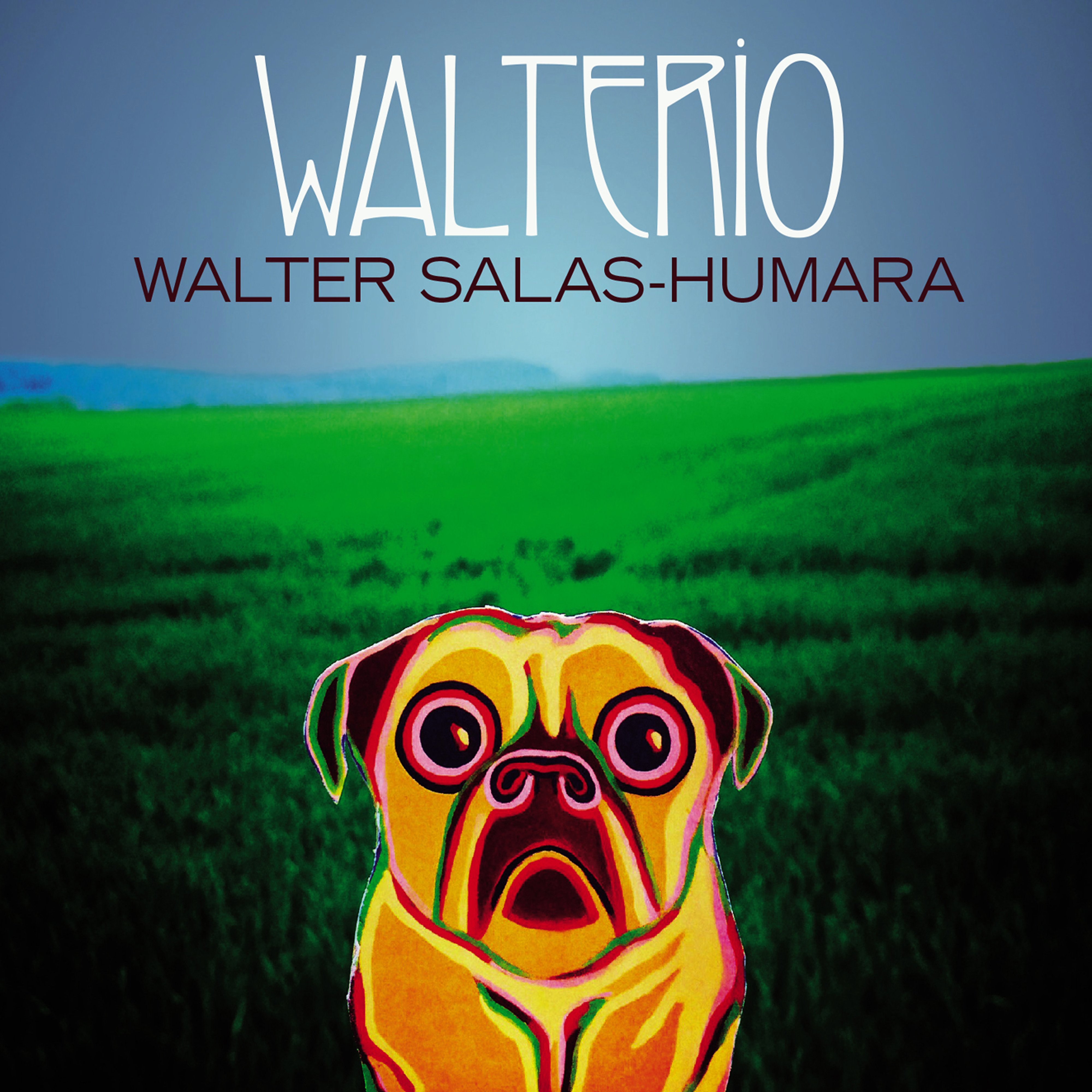 Walter Salas-Humara – Walterio