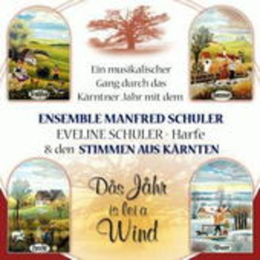 Manfred Schuler – Das Jahr is lei a Wind