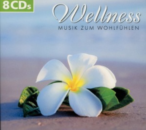 Diverse – Wellness Musik für Körper und Geist