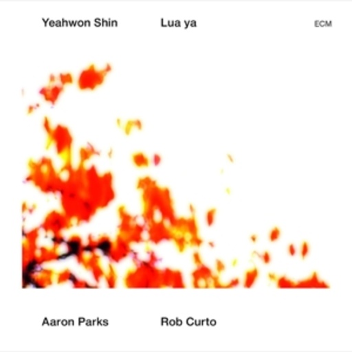 Yeahwon Shin/Aaron Parks/Rob Curto – Lua Ya