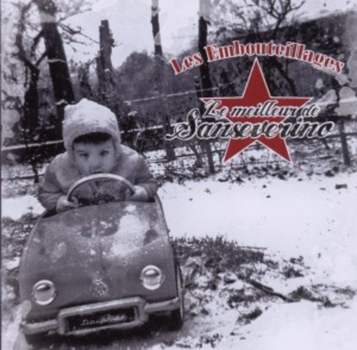 Sanseverino – Le Meilleur De Sanseverino