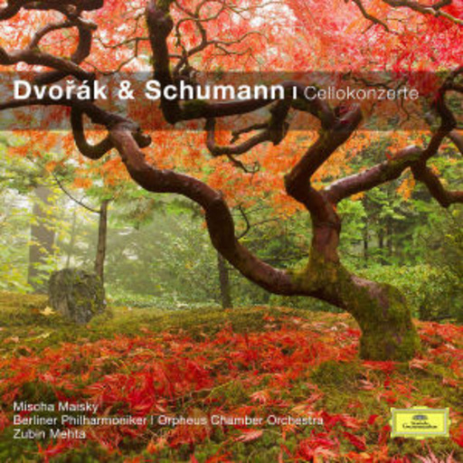 Diverse – Dvorak & Schumann
